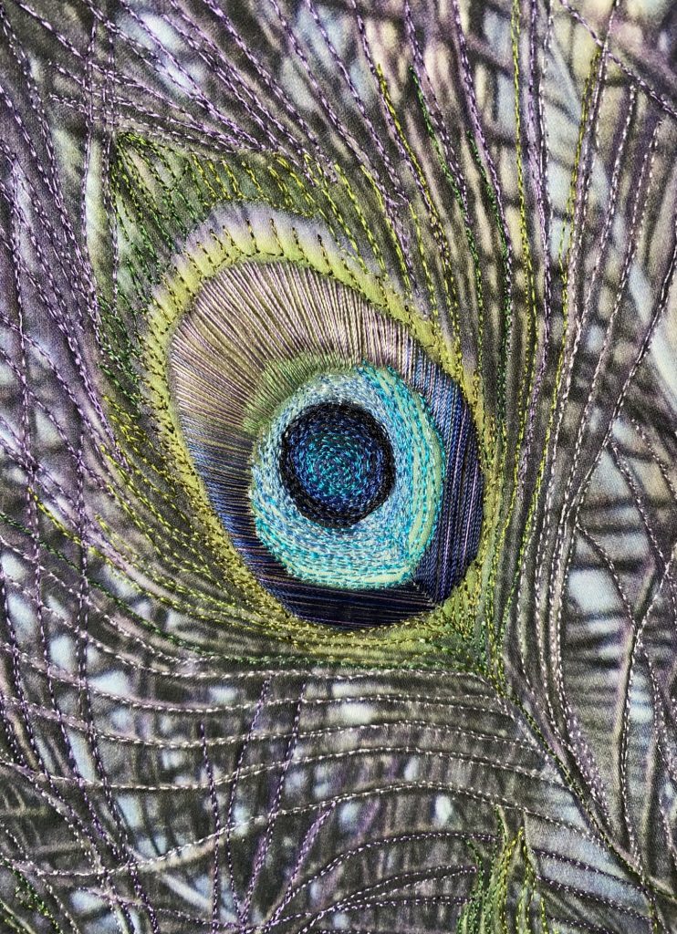 Peacock Blue closeup by Elaine Armstrong